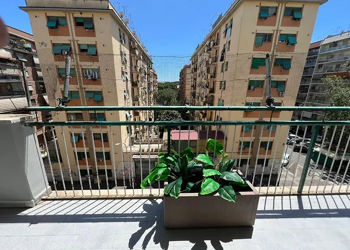 בית הארחה Luciano Queen's 4*